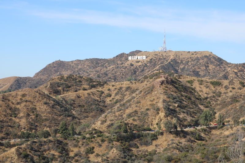 Illustration for article titled Griffith Park Photodump